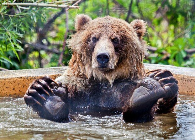 Skip the Line: Kamloops BC Wildlife Park Admission Ticket - Exploring the Kamloops BC Wildlife Park: A Practical and Authentic Guide