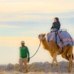 Sky Bike Free Camel Ride and Horseback Riding - The Camel Ride: Beachside Charm and Photo Opportunities
