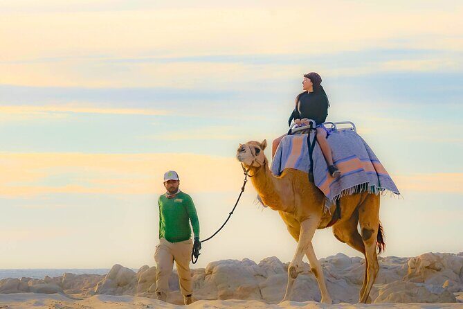 Sky Bike Free Camel Ride and Horseback Riding - The Camel Ride: Beachside Charm and Photo Opportunities