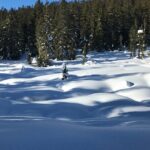 Slow down and enjoy winter on a private snowshoe tour. - The Scenic Highlights and Practical Benefits