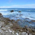 Small Group | 1 Day Tour Through Monterey From San Francisco - What’s Included and What’s Not