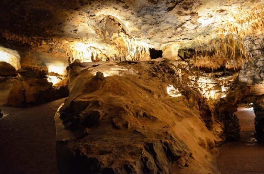 Small-Group D.C. Day Trip to Shenandoah Park & Luray Cavern - Practical Details and Tips