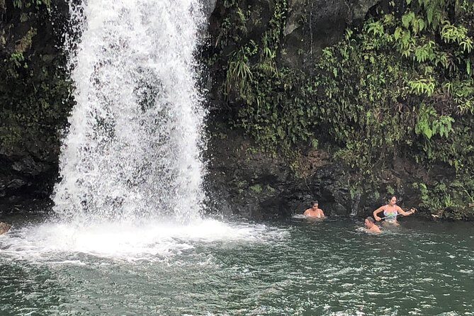 Small-Group Road to Hana Adventure Tour with Pickup & Lunch - Who Will Love This Tour?