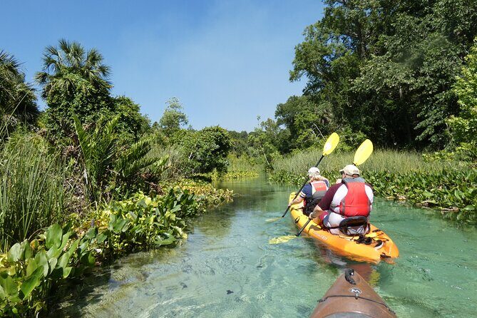 Small Group Rock Springs Run Eco Kayak Adventure - Who Will Love This Tour?