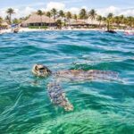 Small Group Semi Private Akumal and Cenote Snorkeling Tour - Authentic Mexican Lunch — A Delicious Cultural Finish