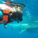 Small Group Whale Shark Encounter - 10 years in business - FAQ: Your Practical Questions Answered