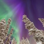 Small Group Yukon Aurora Viewing - Who Should Consider This Tour?