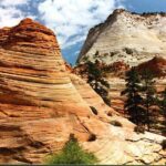 Small-Group Zion National Park Day Tour from Las Vegas - The Practicalities: Comfort, Food, and Flexibility