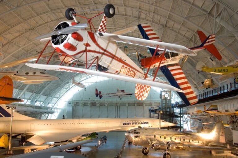 Smithsonian Natural History + Air & Space Museum Tour 8ppl - A Deep Dive into the Experience