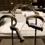 Smithsonian Natural History + Museum of American History 8pp - What to Expect on the Tour