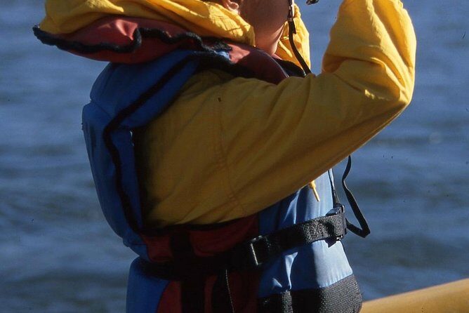 Snake River Scenic Float Trip - A Detailed Look at the Snake River Scenic Float Trip