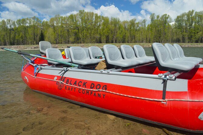 Snake River Scenic Float with Chairs - The Itinerary: What to Expect
