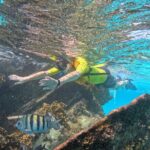 Snorkel Adventure in Cancun - Why This Tour Represents Value