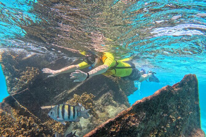 Snorkel Adventure in Cancun - Why This Tour Represents Value
