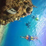 Snorkel along the coast with Chivis Del Mar. - The Reefs: Why They Matter