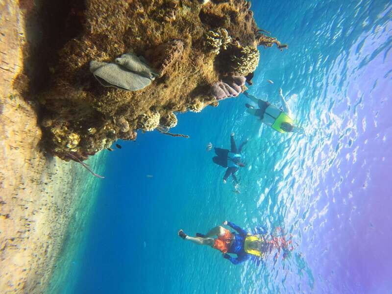 Snorkel along the coast with Chivis Del Mar. - The Reefs: Why They Matter