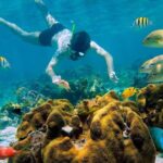 Snorkel and swim in Cozumel el Cielo Reef, Palancar and Colombia - The Experience on the Water: What to Expect
