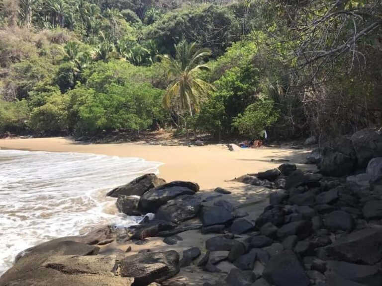 Snorkel at Playa del Toro, leaving from Sayulita: a day at the beach - The Sum Up