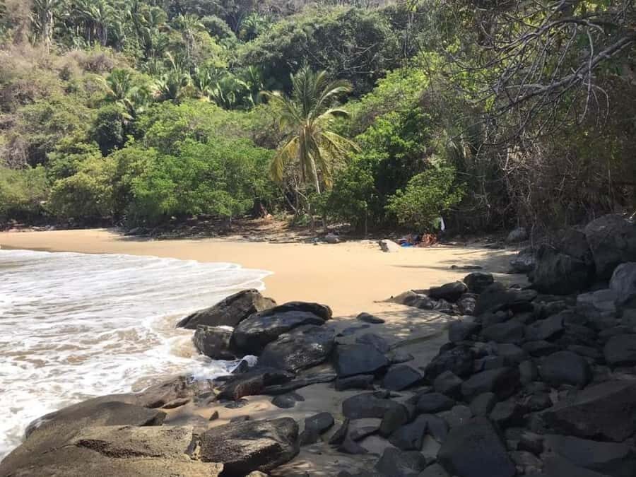 Snorkel at Playa del Toro, leaving from Sayulita: a day at the beach - The Sum Up