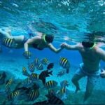 Snorkel in Cozumel and visit El Cielo - What Makes This Tour Stand Out