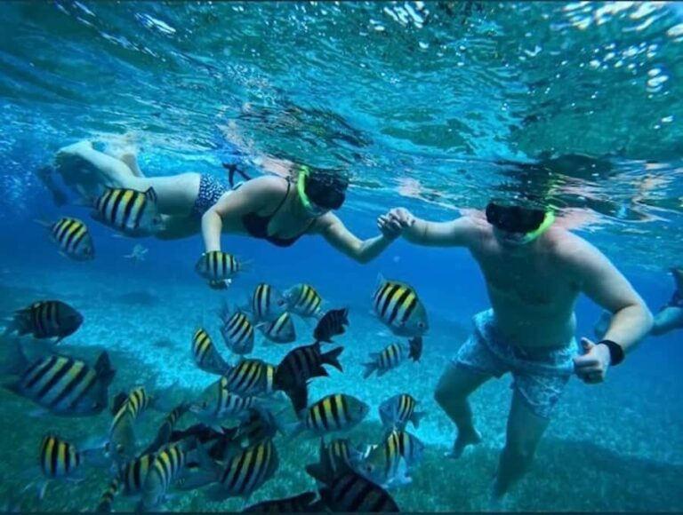 Snorkel in Cozumel and visit El Cielo - What Makes This Tour Stand Out