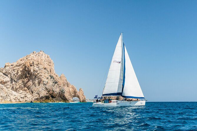 Snorkel in Luxury Sailing Boat + Food and Premium drink! - Snorkeling, Wildlife, and Water Activities