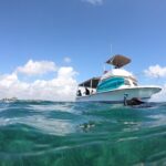 Snorkel in the beautiful reef of Puerto Morelos with transport - What Travelers Are Saying