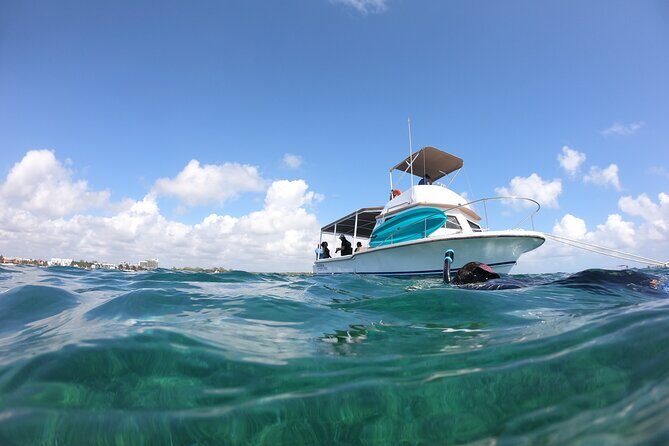 Snorkel in the beautiful reef of Puerto Morelos with transport - What Travelers Are Saying