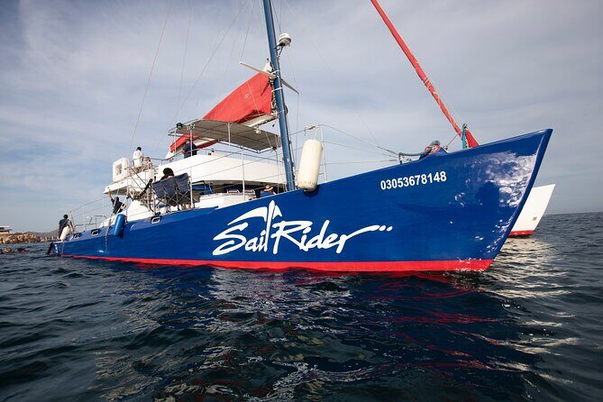 Snorkel, Lunch & Sail in Cabo San Lucas - The Practical Side: What to Expect and What Matters