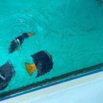 Snorkel & Playa Nopalera  Private Tour  Punta Mita - Practical Details