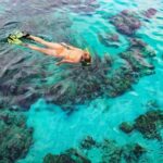 Snorkel Tours to Shallow Coral Reefs at Pennekamp Underwater Park - The Itinerary and What to Expect