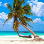 Snorkel Tulum: 2 reef point, 1 hour 20 minutes tour - The Marine Environment: What Youll See Underwater