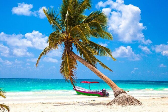 Snorkel Tulum: 2 reef point, 1 hour 20 minutes tour - The Marine Environment: What Youll See Underwater