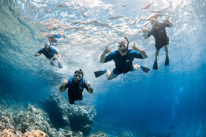 Snorkel with Turtles and Free Underwater Photos Lahaina - Why Is This Tour Worth Considering?