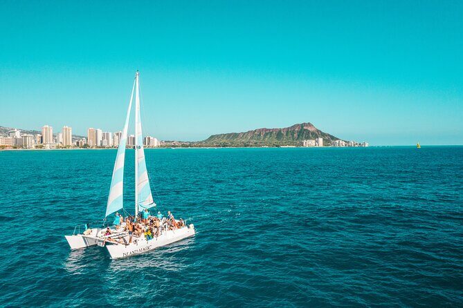 Snorkeling Adventure at Turtle Canyon - Detailed Experience Breakdown