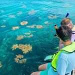 Snorkeling Adventure in Tulum Beach, Kaan Luum Lagoon and Cenote - What’s Included and What to Watch For