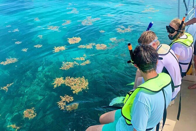 Snorkeling Adventure in Tulum Beach, Kaan Luum Lagoon and Cenote - What’s Included and What to Watch For