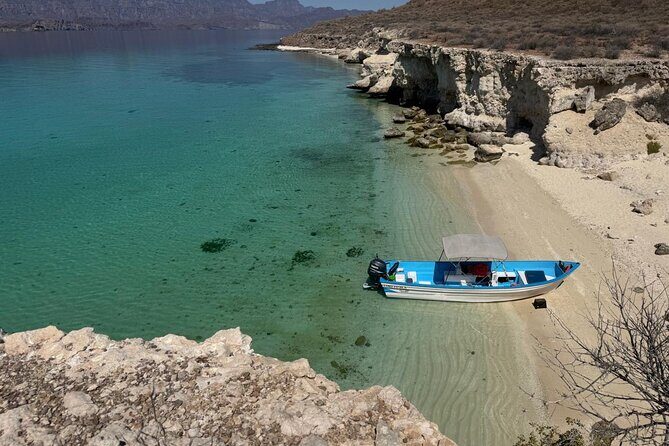 Snorkeling Adventure with Picnic from Villa del Palmar Hotel - Why This Tour Is Worth Considering