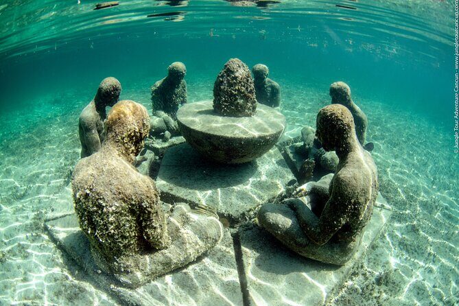 Snorkeling and Speed Boat Tour - Who Will Love This Tour?