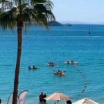 Snorkeling and Sunset Kayaking in La Paz - Frequently Asked Questions