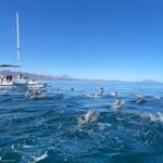 Snorkeling Catamaran Island Cruise - What’s Included & What’s Not