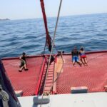 Snorkeling Discovery sailing in Los Cabos - From Reviews to Reality
