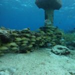 Snorkeling Experience Cozumel only from Playa del Carmen - The Land Adventure: Buggy Rides and Cultural Stops