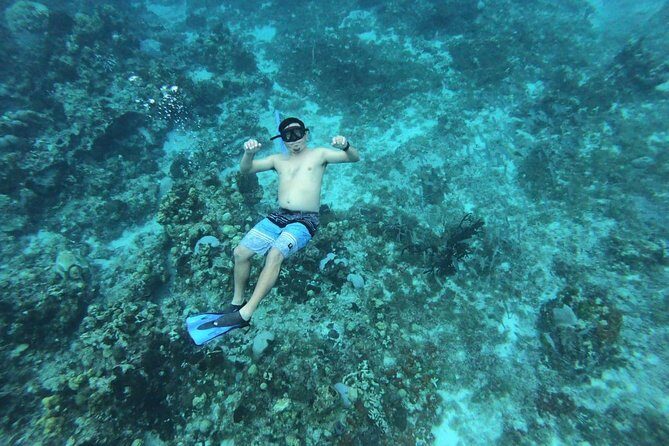 Snorkeling Experience in Cozumel with Transportation from Cancun - What Travelers Should Know Before Booking