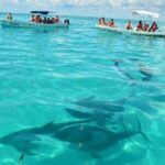 Snorkeling in Sian Ka'an - The Value of the Tour