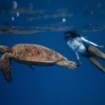 Snorkeling Open Ocean Wildlife Safari in Los Cabos with Photos Included - What’s Included and What You Should Bring