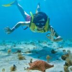 Snorkeling Tour in COZUMEL QROO - Who Should Book This Tour?