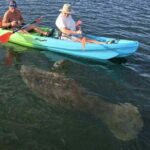 Snowbirds Paddle Club Guided Kayak and Paddleboard Sessions - What to Expect and Practical Considerations