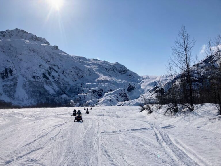Snowmobile Classic Tour in Kenai Fjords National Park - The Itinerary and What to Expect
