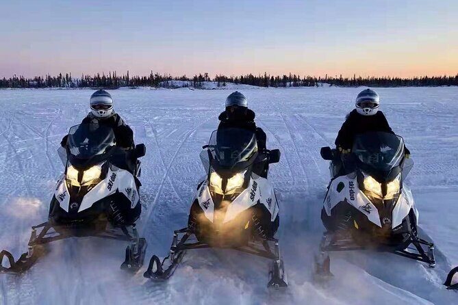 Snowmobile Tour - Who Should Consider This Snowmobile Tour?